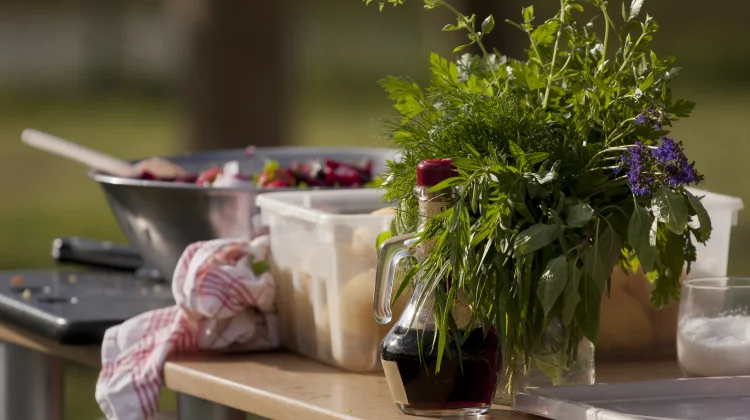 Outdoor Kitchen