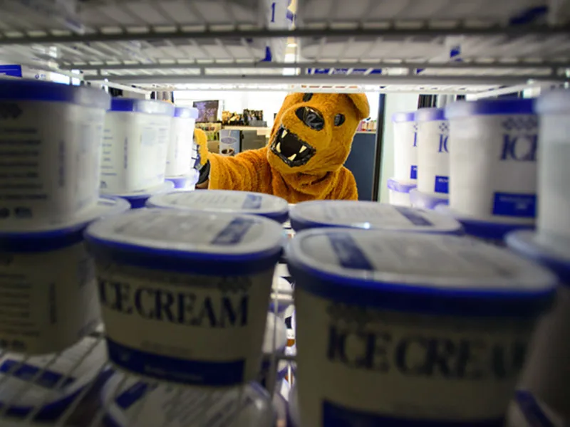 View of lion mascot peeking through the shelves of ice cream at Berkey Creamery.