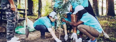 Volunteers planting a tree