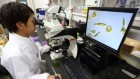 Japan’s scientists demand more money for basic science