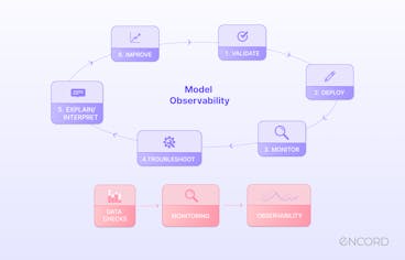 sampleImage_model-observability-techniques