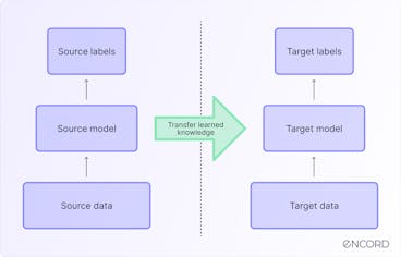 sampleImage_transfer-learning