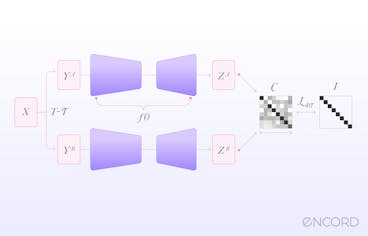 sampleImage_barlow-twins-self-supervised-learning