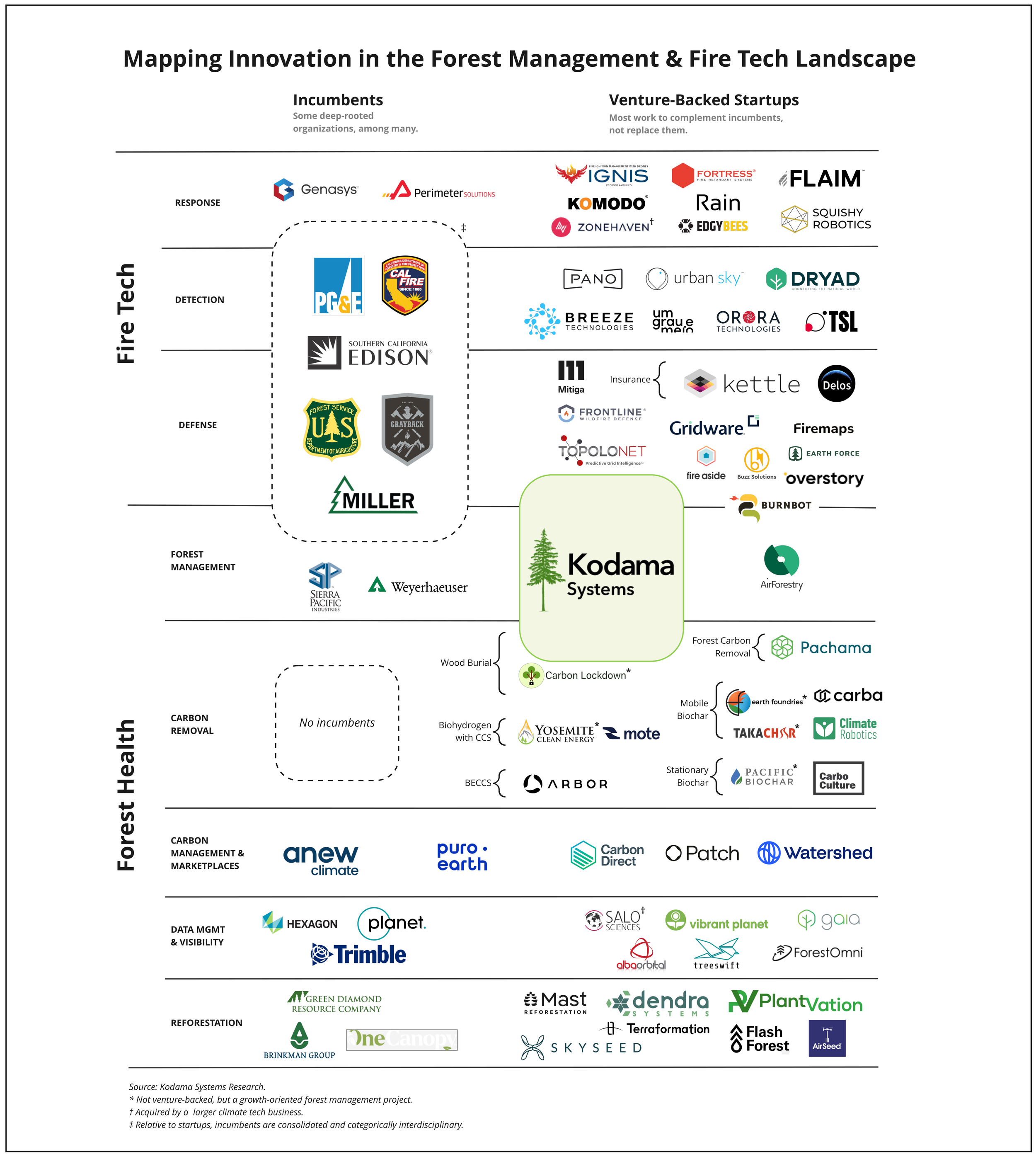 Spreading like Wildfire: The Forest Tech Landscape 2023