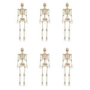 6-Pack 5 ft. Poseable Skeleton