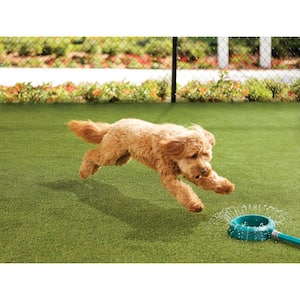 Premium Pet Turf 3.75 ft. x 9 ft. Green Artificial Grass Rug