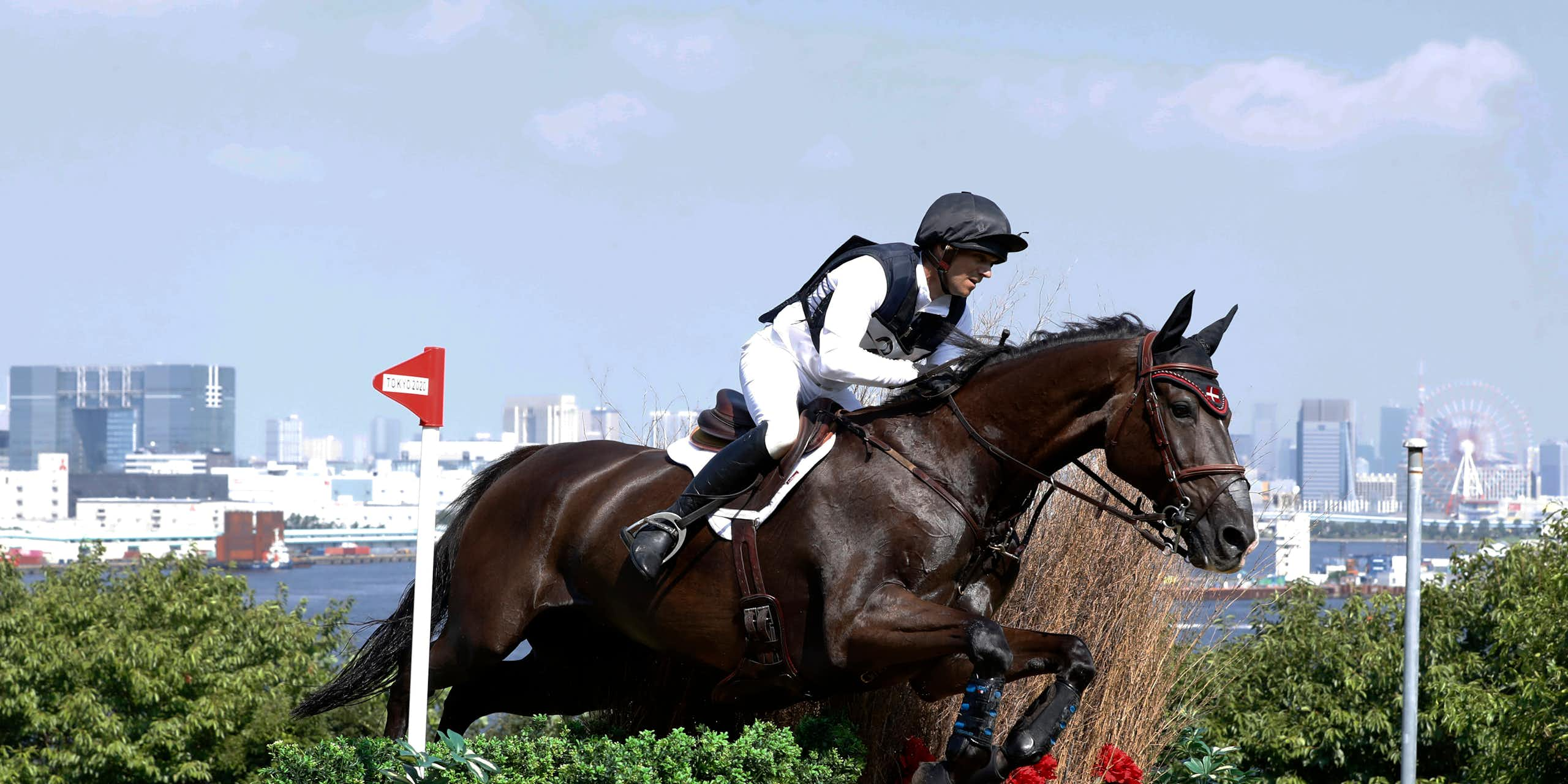 Photographie d'un cavalier et de son cheval aux JO de Tokyo.