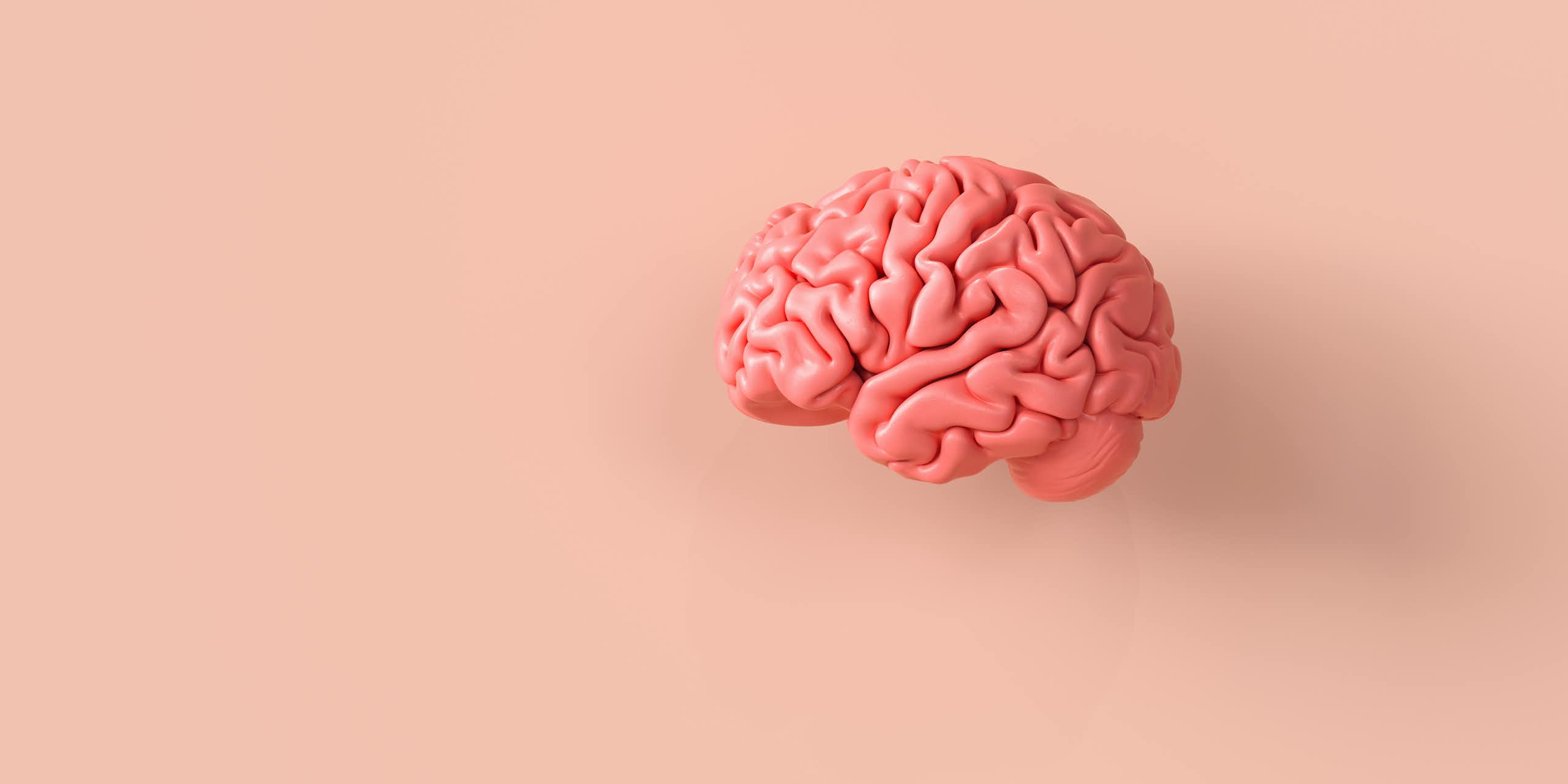 Un modèle de cerveau humain en plastique rose, sur un fond de couleur saumon