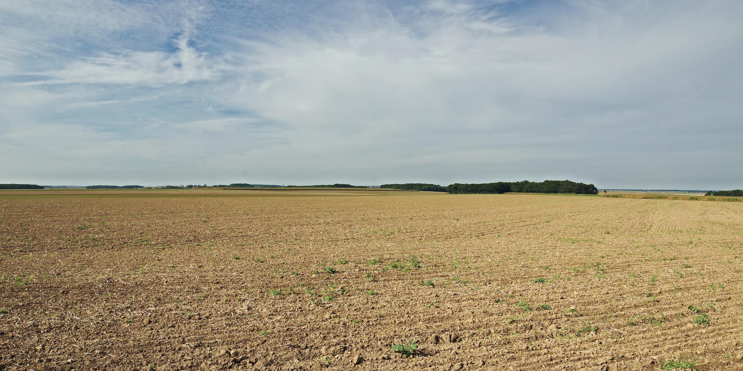 La nappe de Beauce, un immense réservoir d’eau confronté à la sécheresse et à la pollution