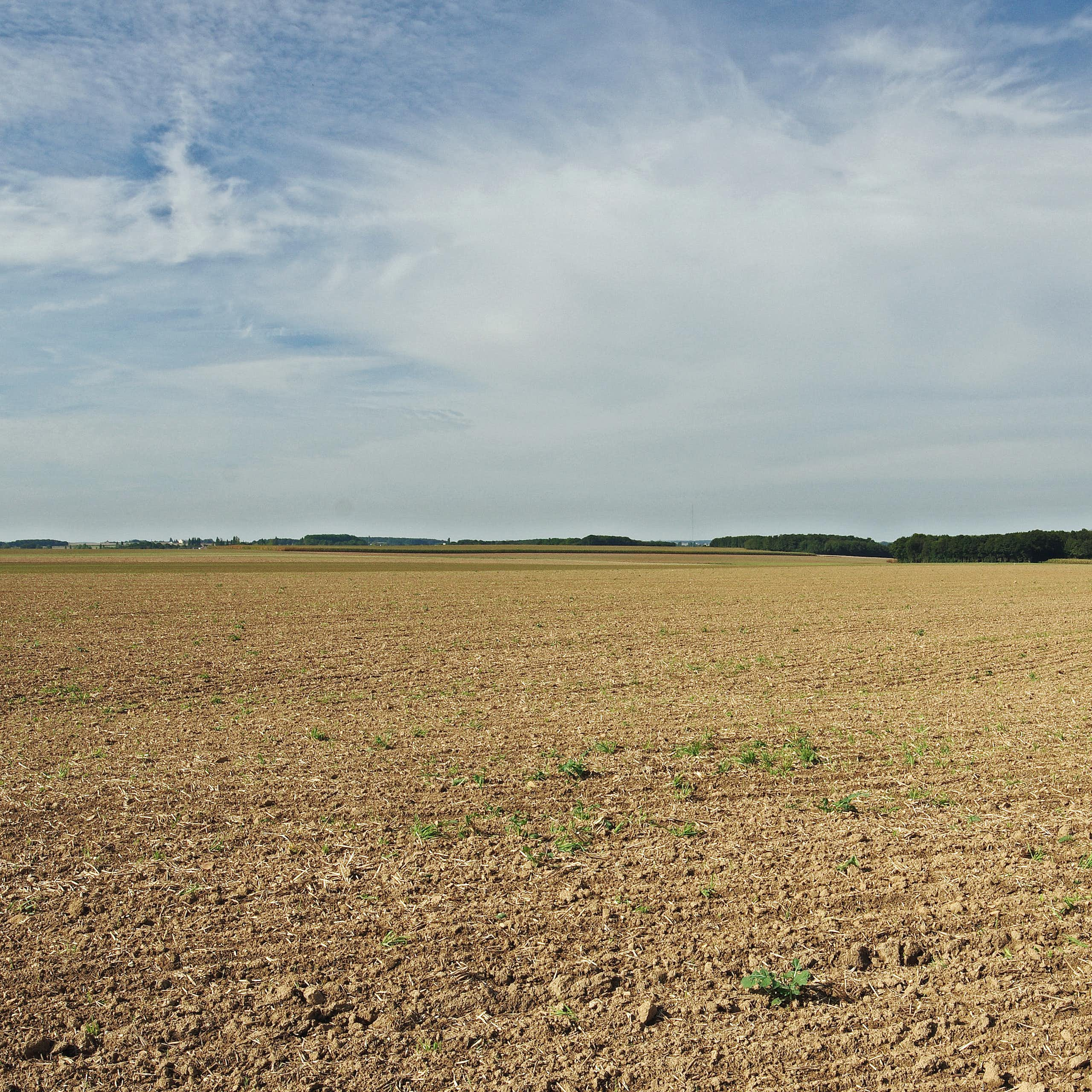 La nappe de Beauce, un immense réservoir d’eau confronté à la sécheresse et à la pollution