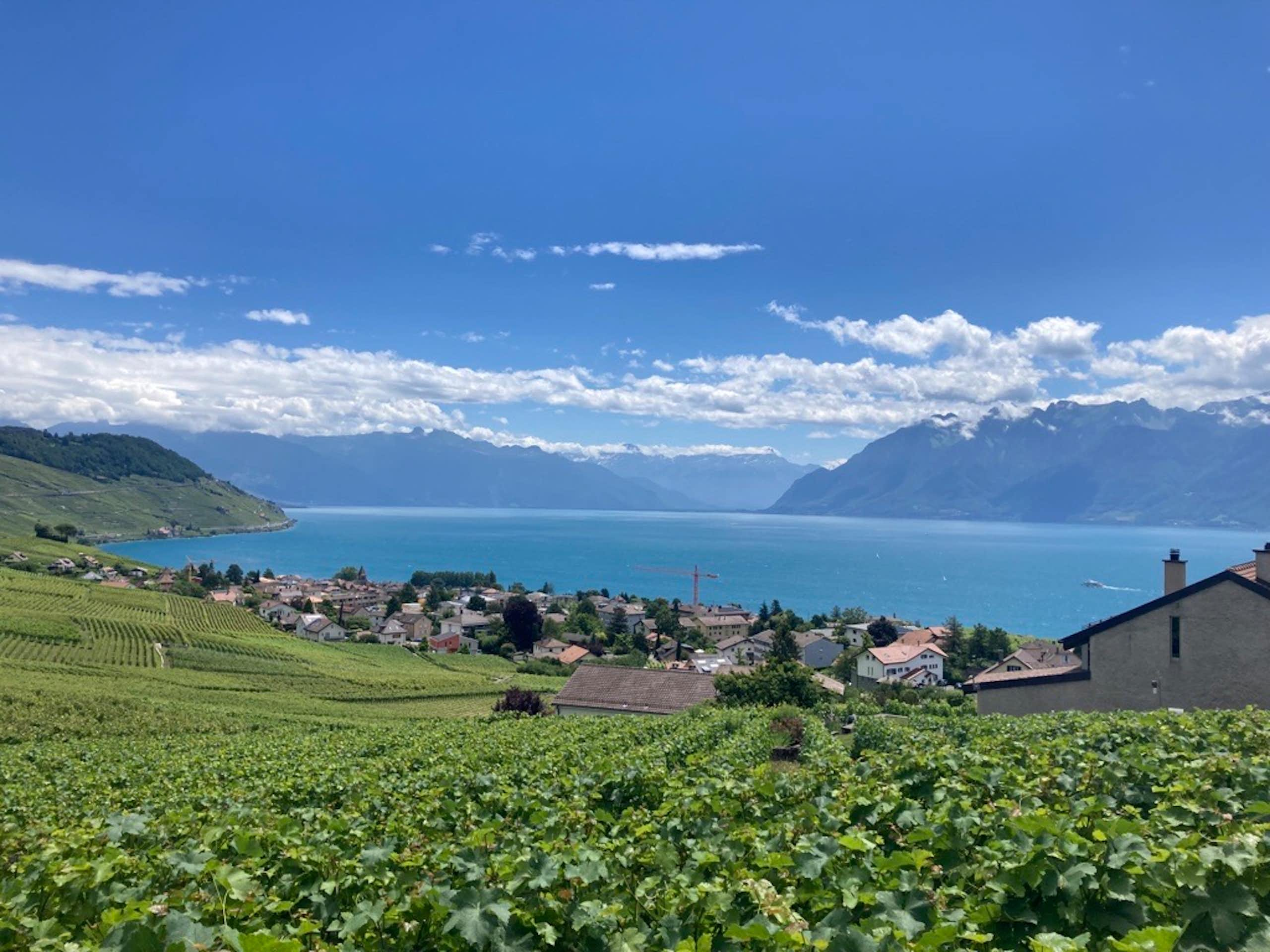 Vignobles de Lavaux 