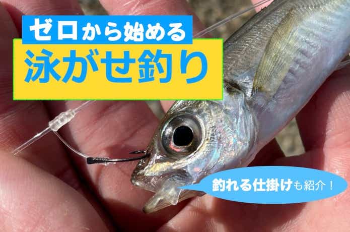 5分でわかる泳がせ釣り！ 仕掛けやエサの付け方をわかりやすく解説