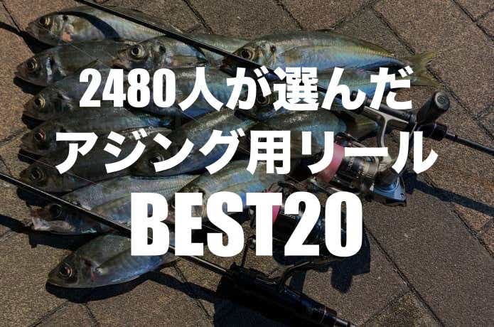 【2024】おすすめアジング用リールBEST20！2480人が選んだランキング