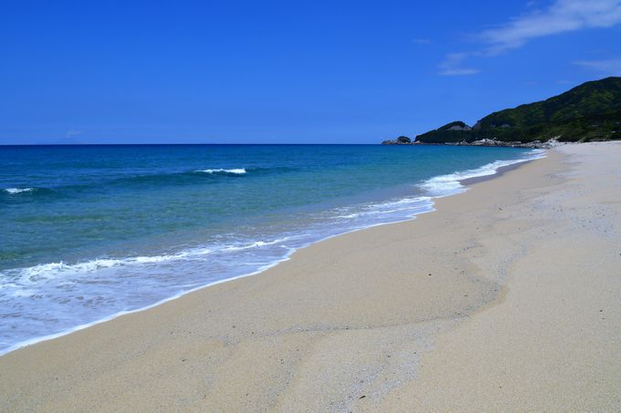 屋久島灯台と永田いなか浜