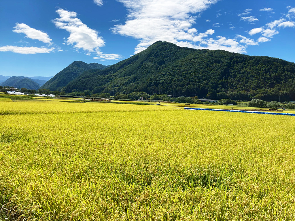 ノスタルジックな気分に浸れる中山道の宿場町へ