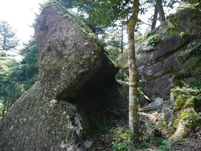 北極星、北斗七星を観測！岩屋岩蔭遺跡巨石群