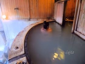 実は泊まれる日帰り入浴施設！奥飛騨・平湯温泉「ひらゆの森」