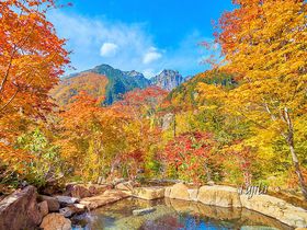 奥飛騨温泉郷の紅葉狩りは新穂高温泉で！野の花山荘の紅葉露天風呂