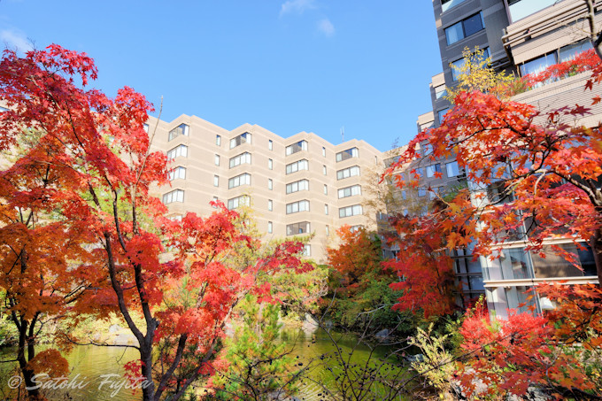 北軽井沢の紅葉も必見！