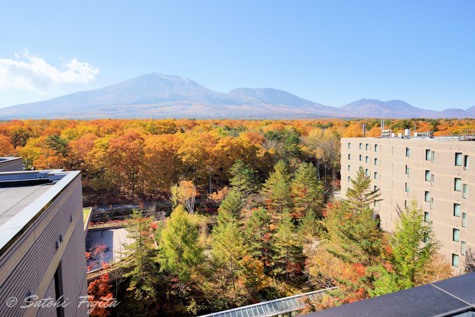 北軽井沢の紅葉も必見！