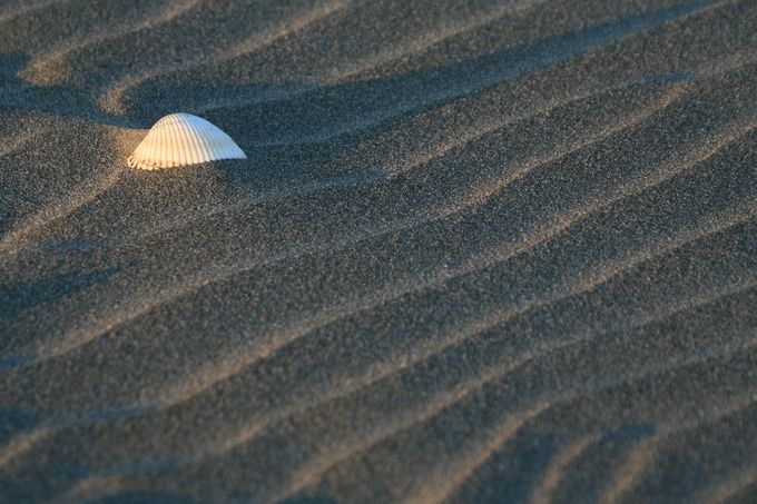 徳島定番の朝日スポット！小松海岸