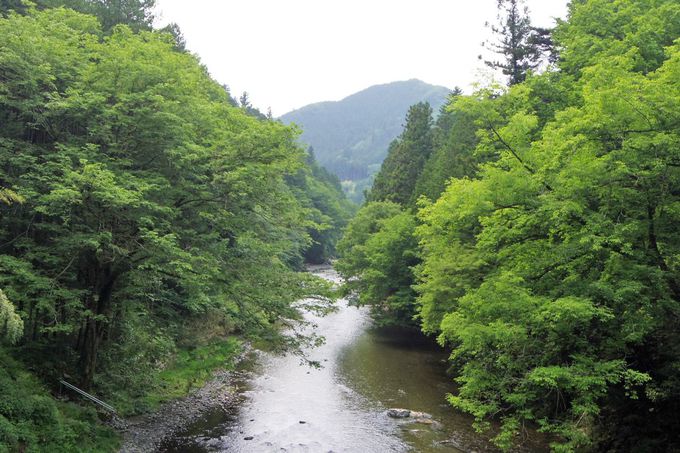 秋川渓谷／東京都