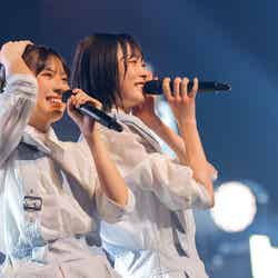 日向坂46「11th Single ひなた坂46 LIVE」撮影：上山陽介