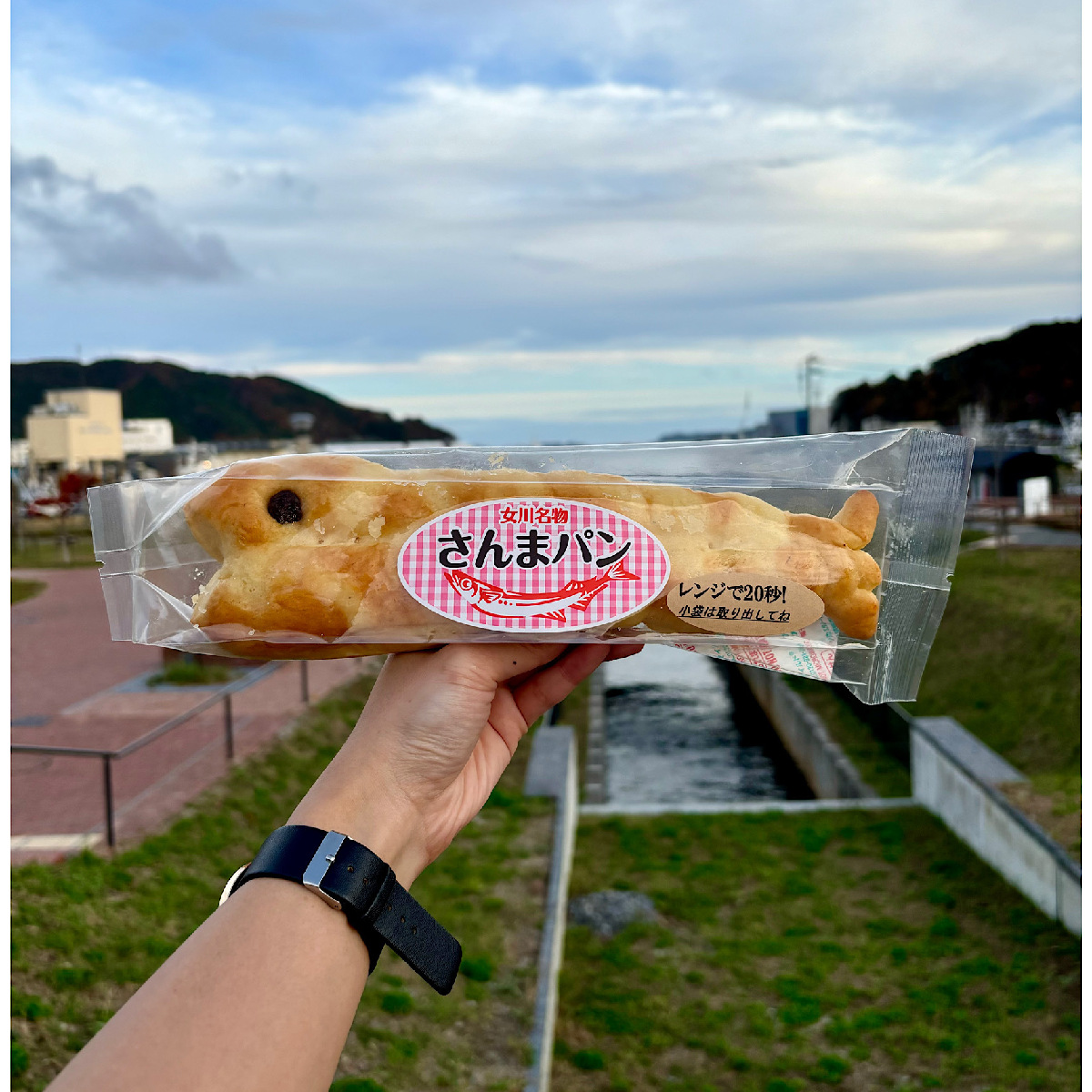 【宮城県/女川】一度は食べて！名物さんまパンに、絶品女川丼！〆はアイスで決まりでしょ！