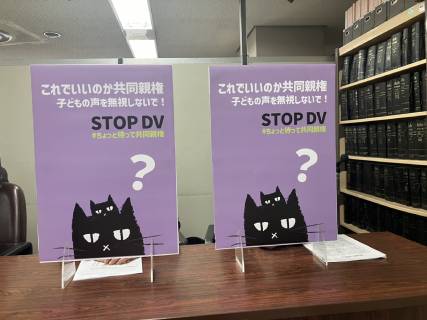 「DVなら単独親権」は “机上の空論”か　DV被害当事者たちが「共同親権導入」に反対の声を上げる