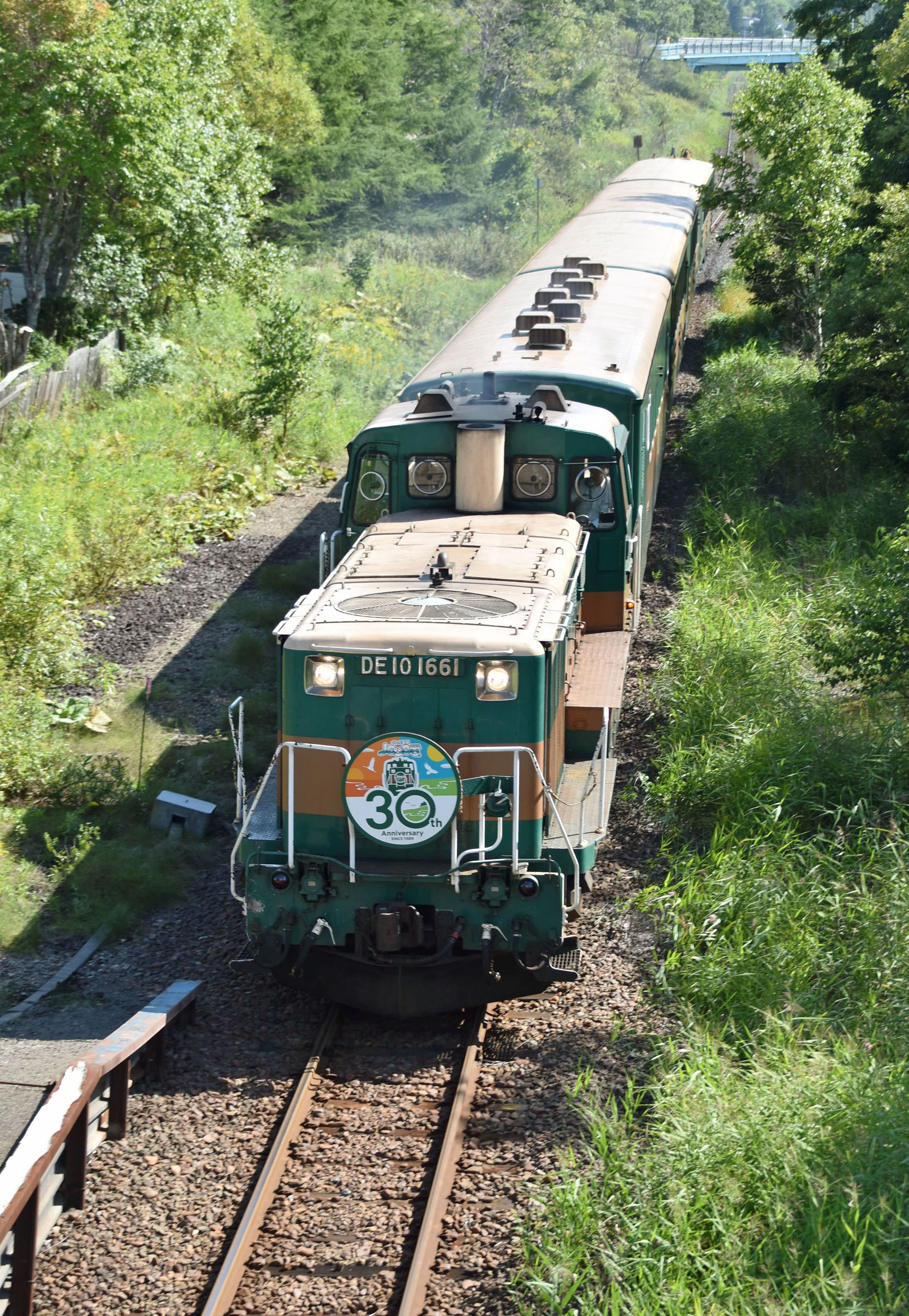 釧網線の「くしろ湿原ノロッコ号」＝2019年9月、北海道釧路町