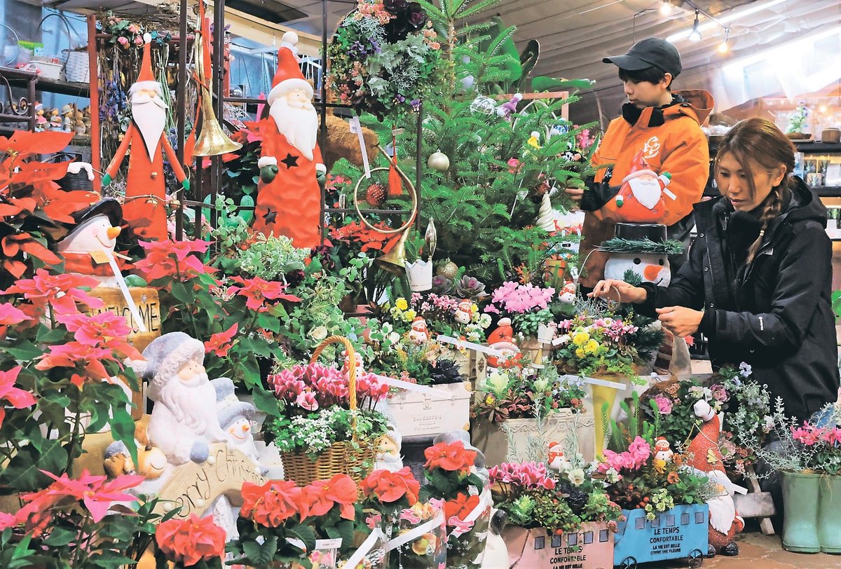 店内に並ぶクリスマスの寄せ植え＝北山ナーセリー富山店