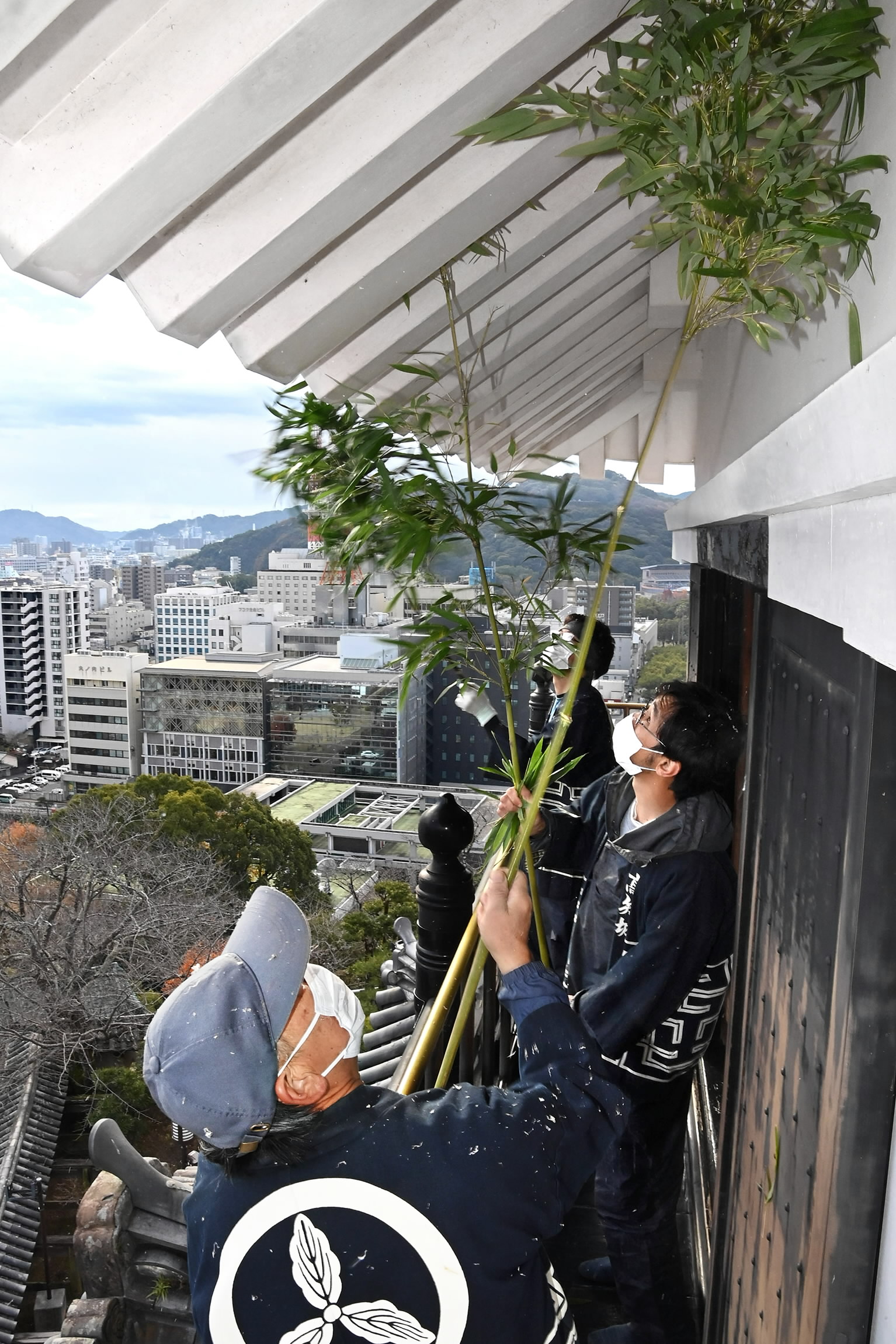 ササの葉でほこりを落として回る職員たち（高知城）