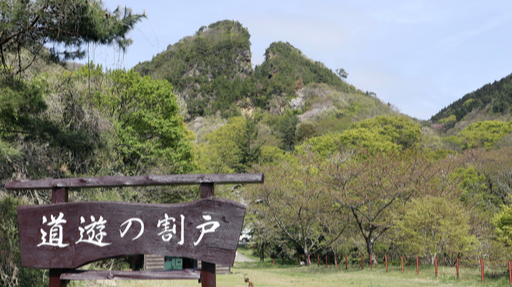 世界文化遺産「佐渡島の金山」を構成する相川鶴子金銀山の「道遊の割戸」＝４月、新潟県佐渡市