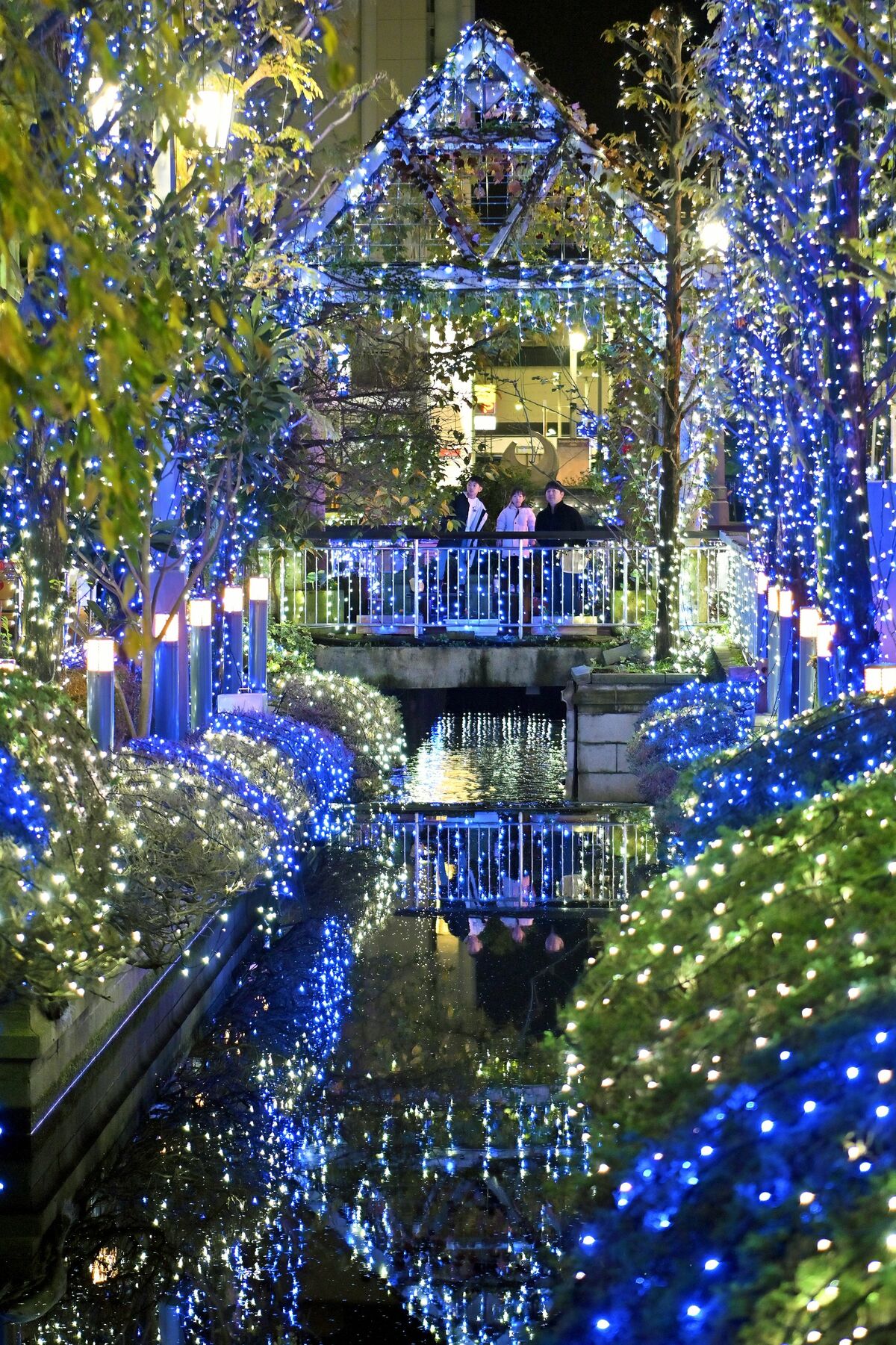 幻想的な明かりに包まれる釜川沿い＝21日午後５時30分、宇都宮市中央本町