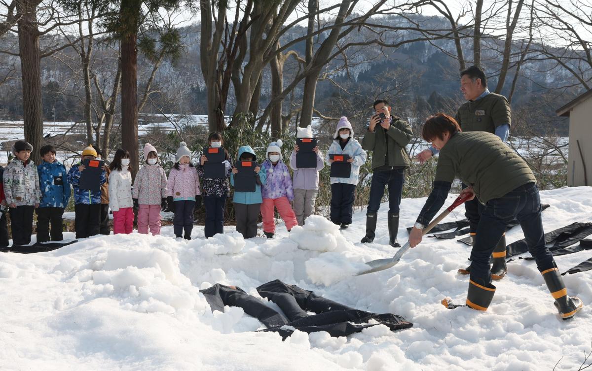 ジーンズを雪の下で保管するため雪を入れるスタッフ＝１月２３日、妙高市姫川原