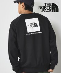 ザノースフェイス/ザ・ノース・フェイス THE NORTH FACE RAGLAN REDBOX SWEATSHIRT クルーネック スウェット トレーナー 長袖 バックプリント/507199372