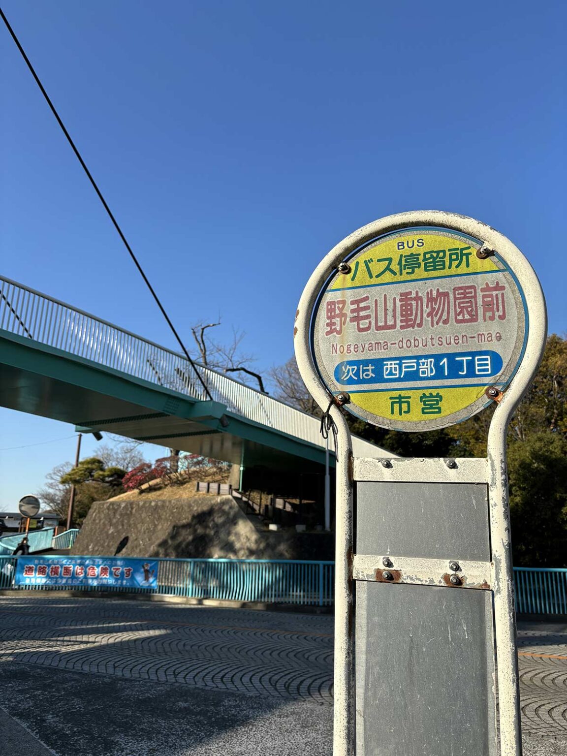 児玉雨子 野毛 野毛山動物園