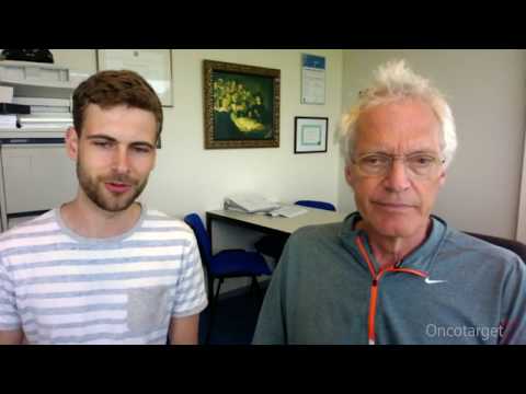 interview - Interview with Dr. Bernards & Diede Brunen from the Netherlands Cancer Institute