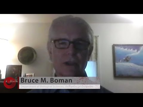 interview - Interview with Dr. Bruce M. Boman from the University of Delaware, Helen F. Graham Cancer Center and Research Institute, and Thomas Jefferson University