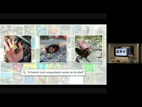 AI-enabled scientific discovery in natural world imagery Thumbnail