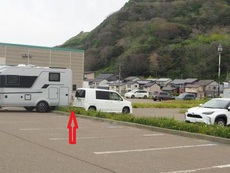 トナラーに遭遇