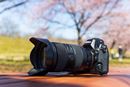 ニコン「Z 8」×タムロン「35-150mm F/2-2.8 Di III VXD」で坂戸の早咲き桜を撮る