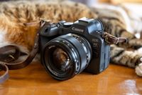 私のリアル相棒カメラ「EOS R6 Mark II」と新しい“目”との日々