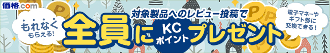 レビューを書くだけ！5000円分のポイントをプレゼント中