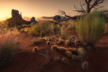 things to do in monument valley fee and opening hours