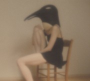 PENGUIN CAFE ORCHESTRA -tribute-