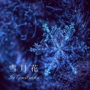 雪月花