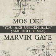 You Are Undeniable (Amerigo Remix)