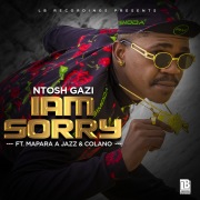 Iam Sorry (feat. Mapara A Jazz and Colano)