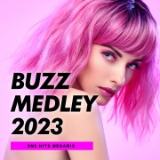 BUZZ MEDLEY 2023 SNS HITS MEGAMIX (DJ MIX)